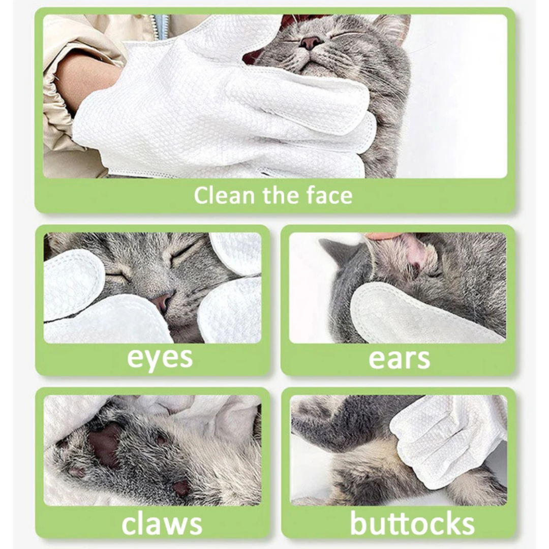 Blinksify™ Dry Shower Gloves